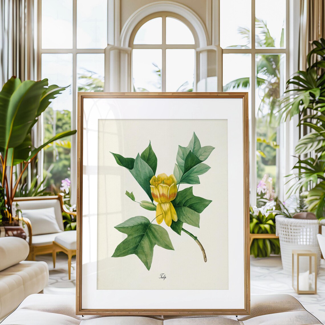 Redoute-Inspired Tulip Flower Botanical Art Print - Image 3