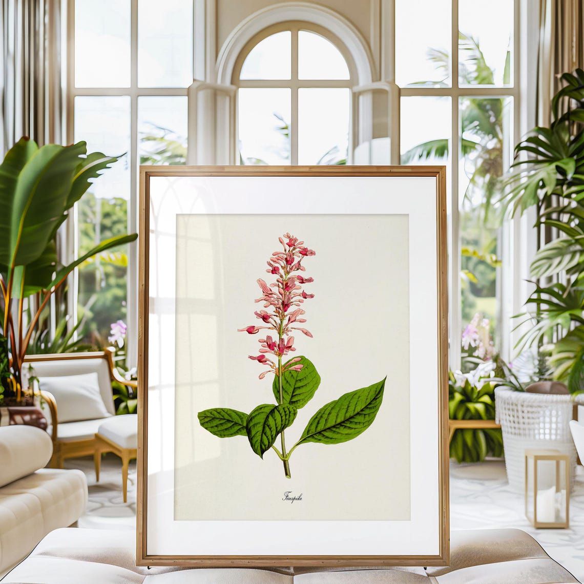 Firespike Pink Blooming Flower Vintage Botanical Study Poster - Image 3