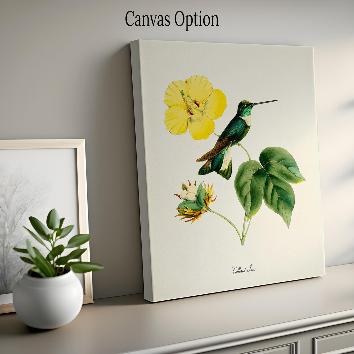 Collared Inca Hummingbird Yellow Hibiscus Vintage Nature Art Poster - Image 2
