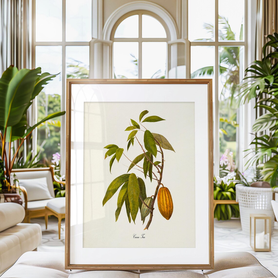Cacao Tree Botanical Art Print, Cocoa Tree Study - Image 3