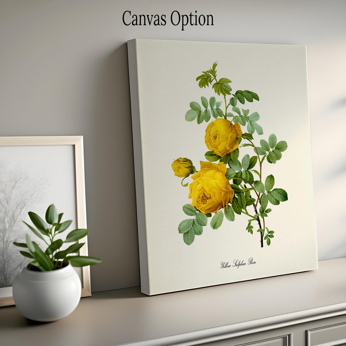 Yellow Sulphur Rose Botanical Floral Art Print - Image 2