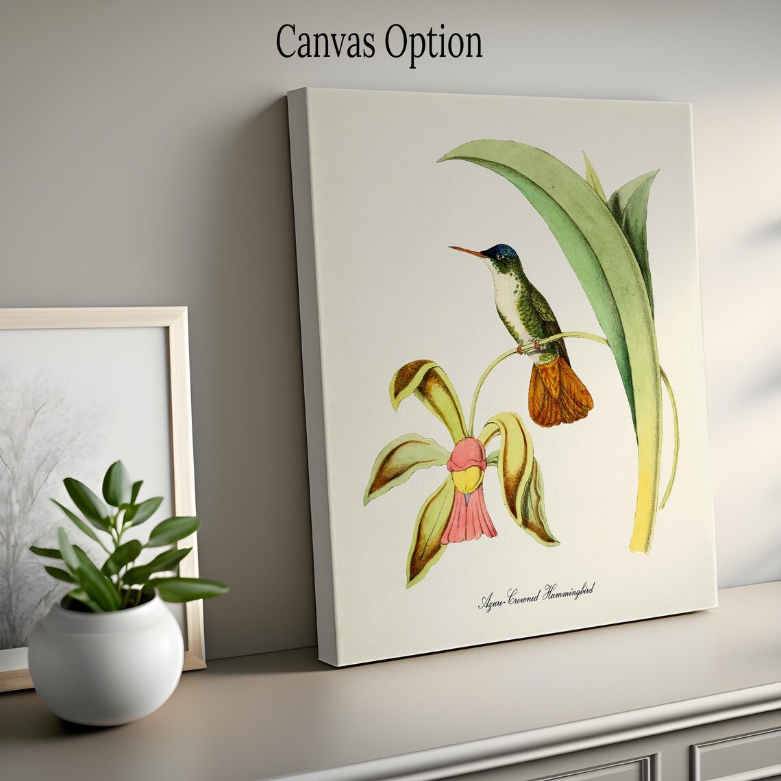 Azure Crowned Hummingbird Floral Art Print for Garden - Image 2