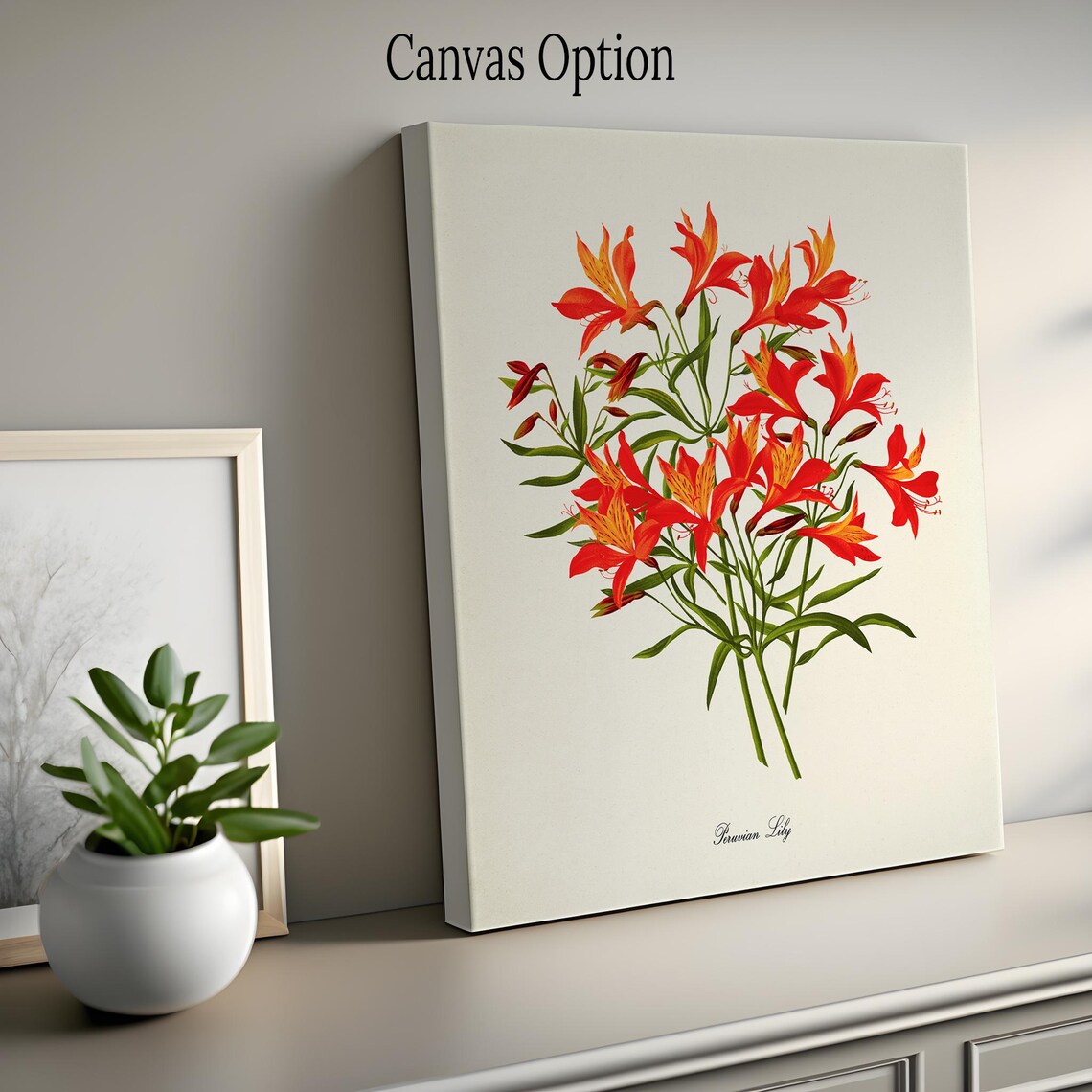Peruvian Lily Botanical Art Print, Orange Floral - Image 2