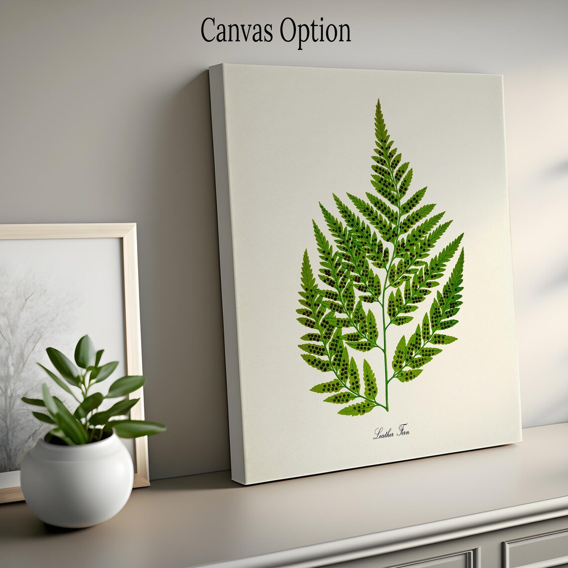 Leather Fern Spotted Green Fronds Vintage Botanical Study Poster - Image 2