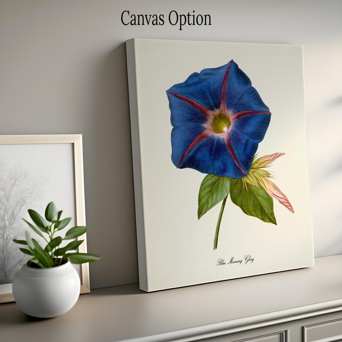 Blue Morning Glory Botanical Floral Art Print - Image 2