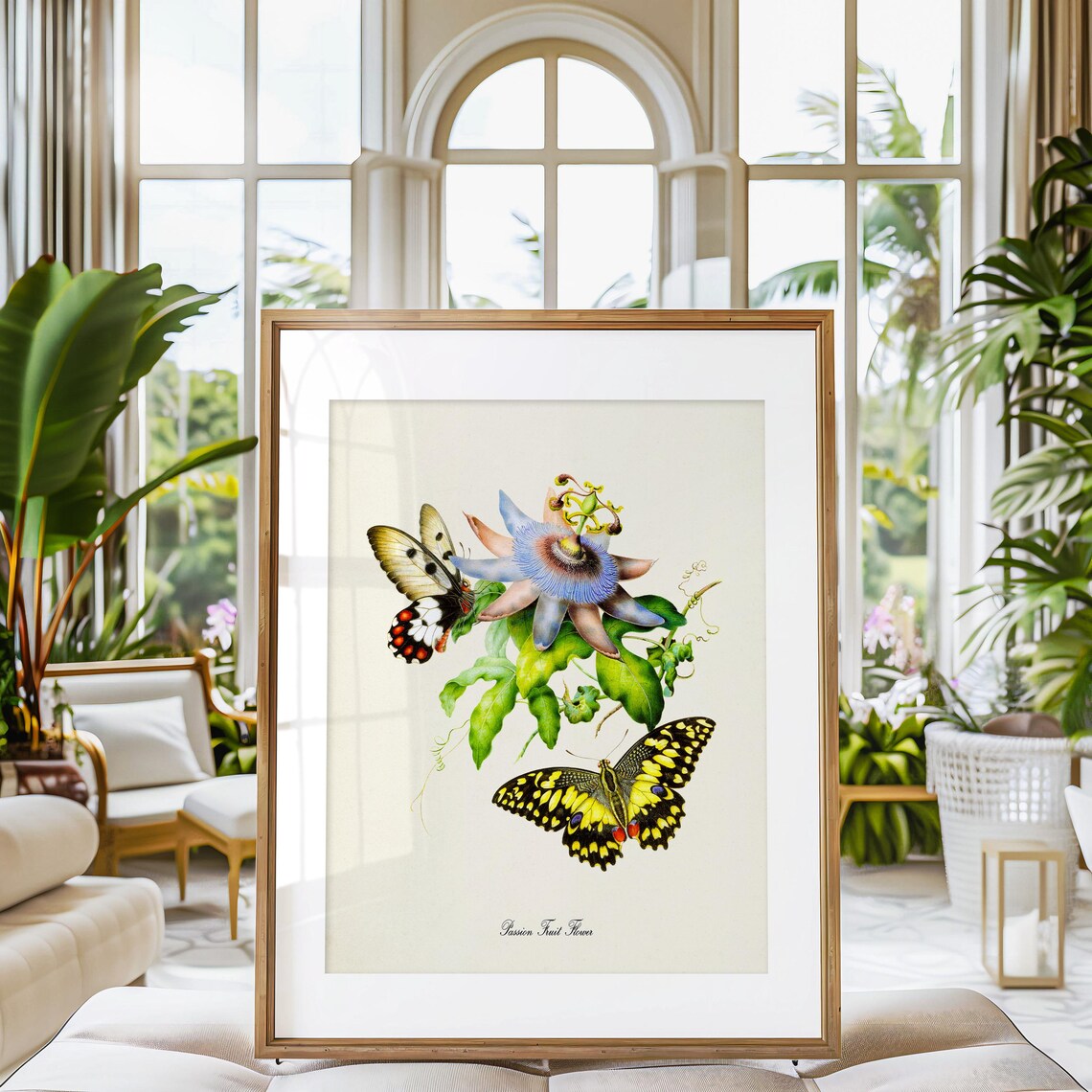 Passion Fruit Flower Butterfly Floral Art Print - Image 3