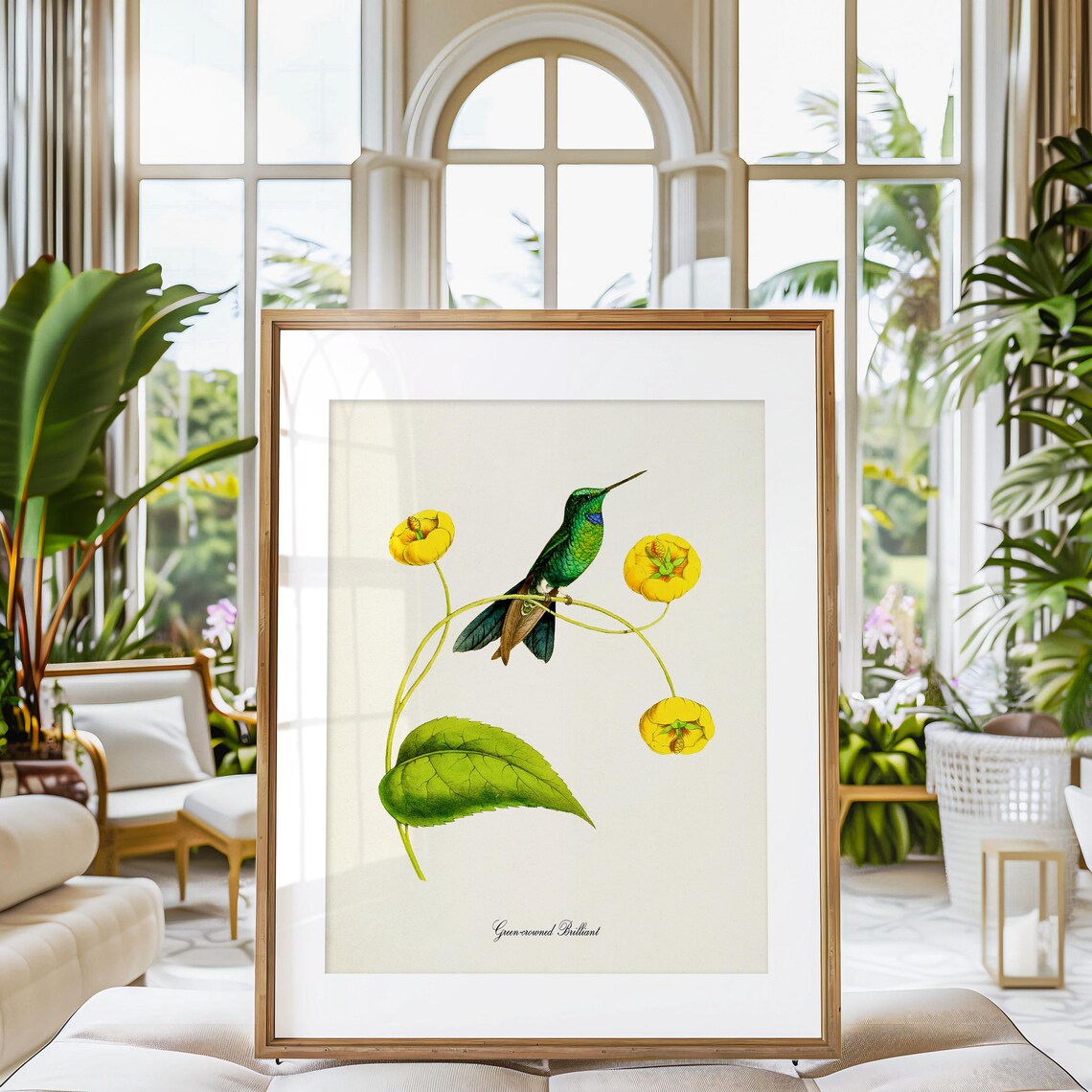 Green Crowned Brilliant Hummingbird Art Print - Image 3