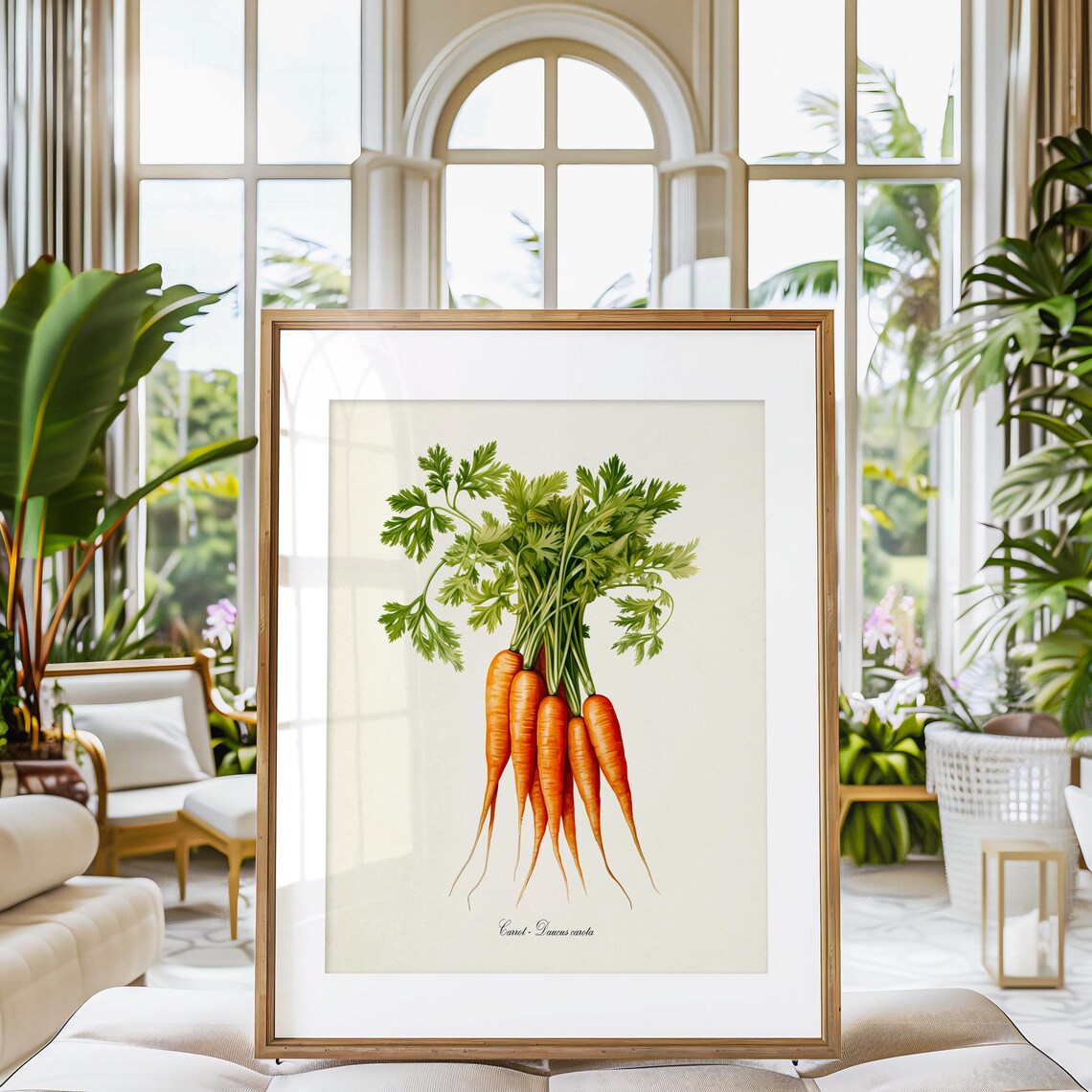 Carrot Botanical Wall Art Print, Daucus Carota - Image 3