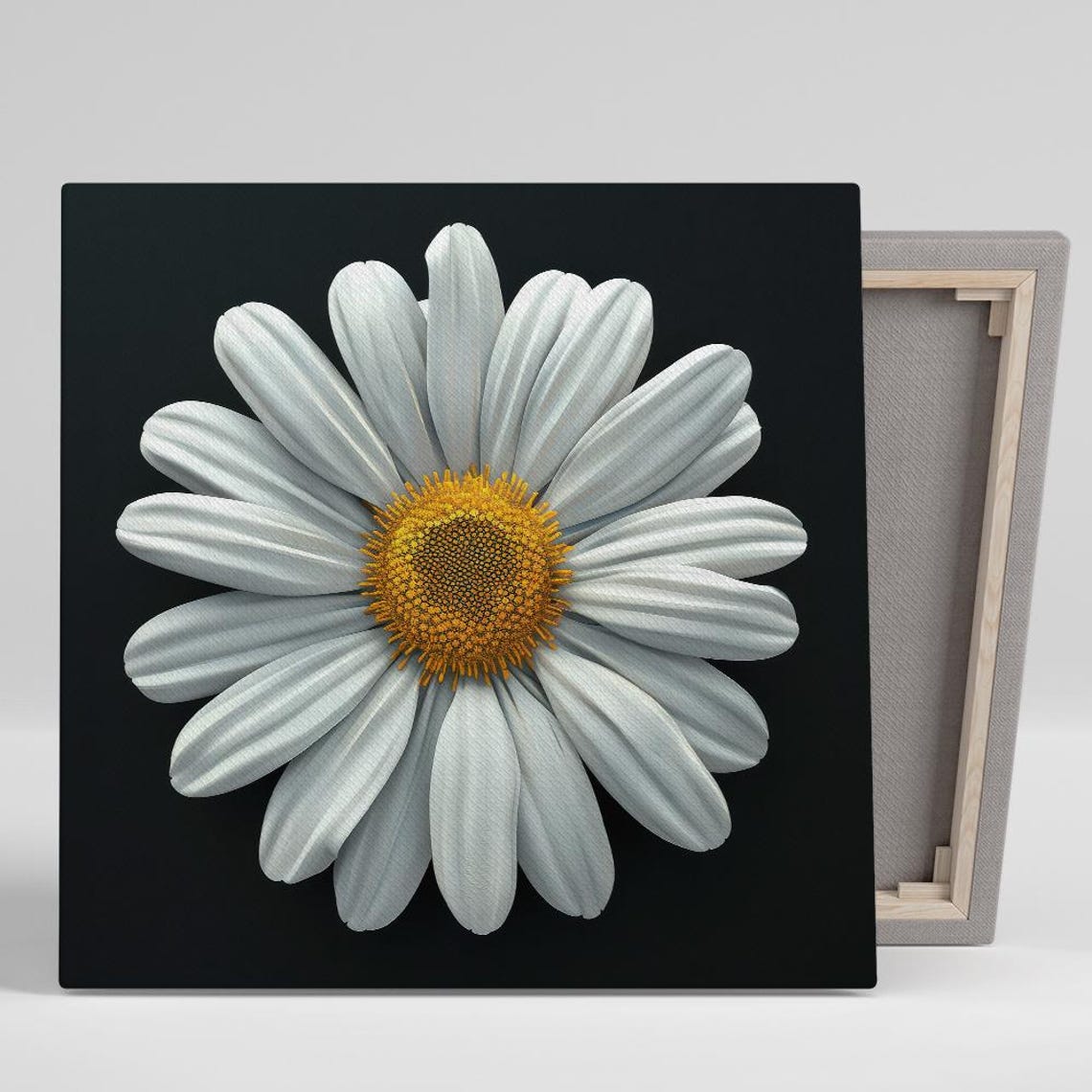 White Daisy Black Background Minimalist Golden Center Art Print