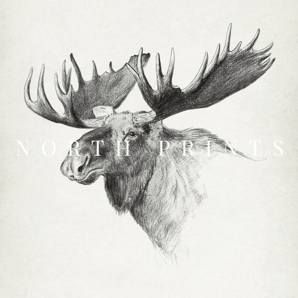 Moose Rustic Sketch Art Print, Cabin Decor - Image 2
