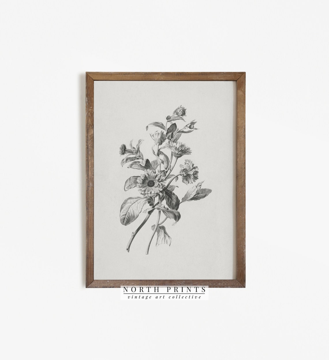 Vintage Grayscale Flower Sketch Antique Botanical Line Art Print - Image 4