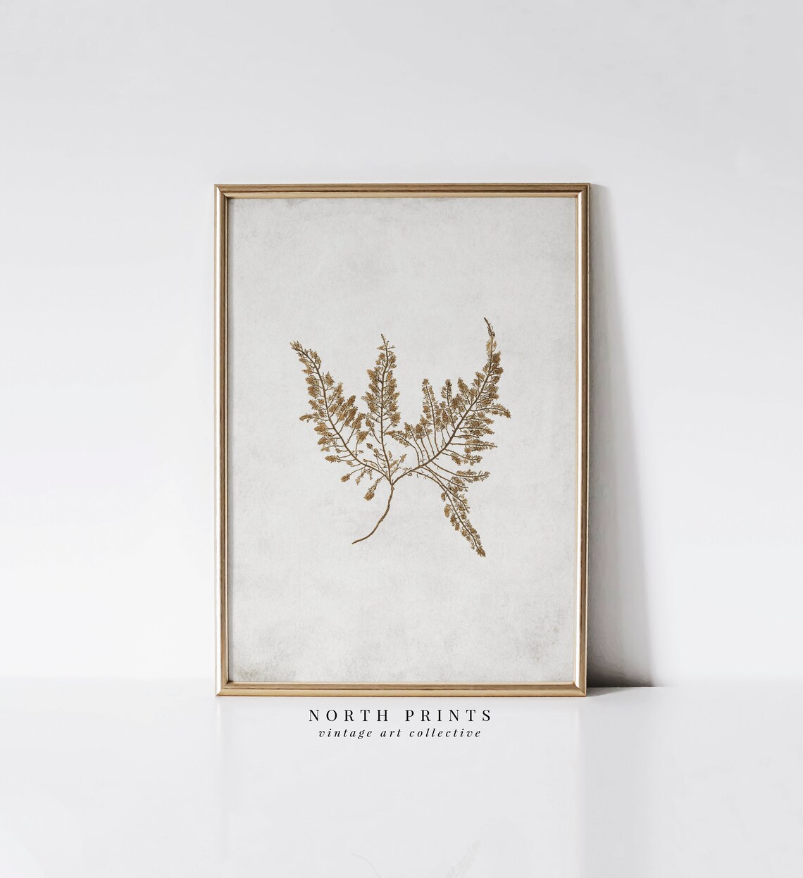 Vintage Fern Botanical Art Print, Farmhouse Decor