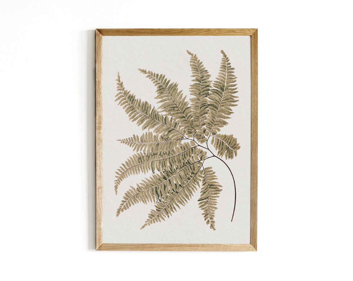 Antique Botanical Fern Print, Vintage Farmhouse Decor - Image 3