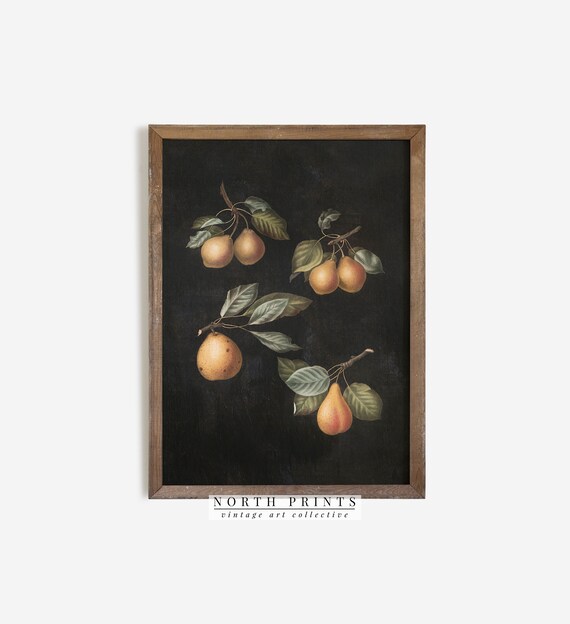 Vintage Moody Kitchen Fruit Pear Painting Dark Wall Art North Prints Shop 1288