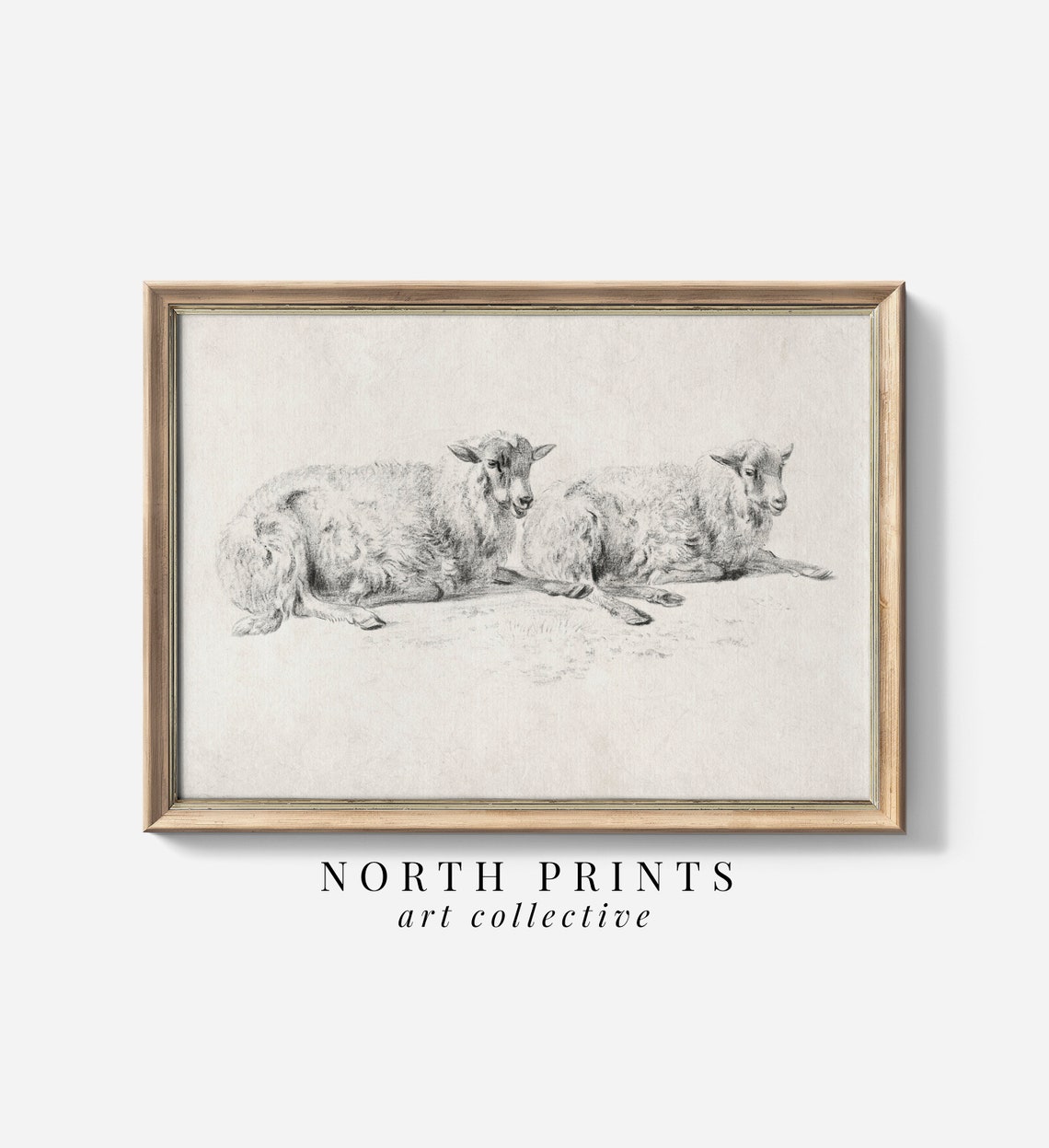 Antique Resting Sheep Pencil Sketch Two Lambs Neutral Art Print