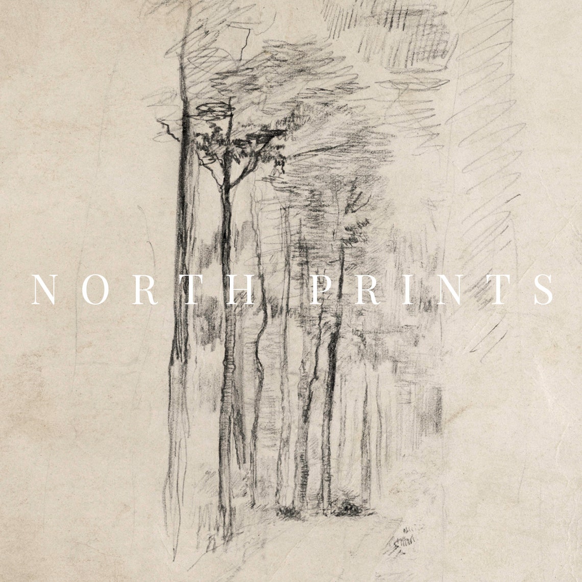 Minimalist Tree Sketch Wall Art Neutral Rustic Forest Drawing Art Print North Prints Sk1 16 - Image 2