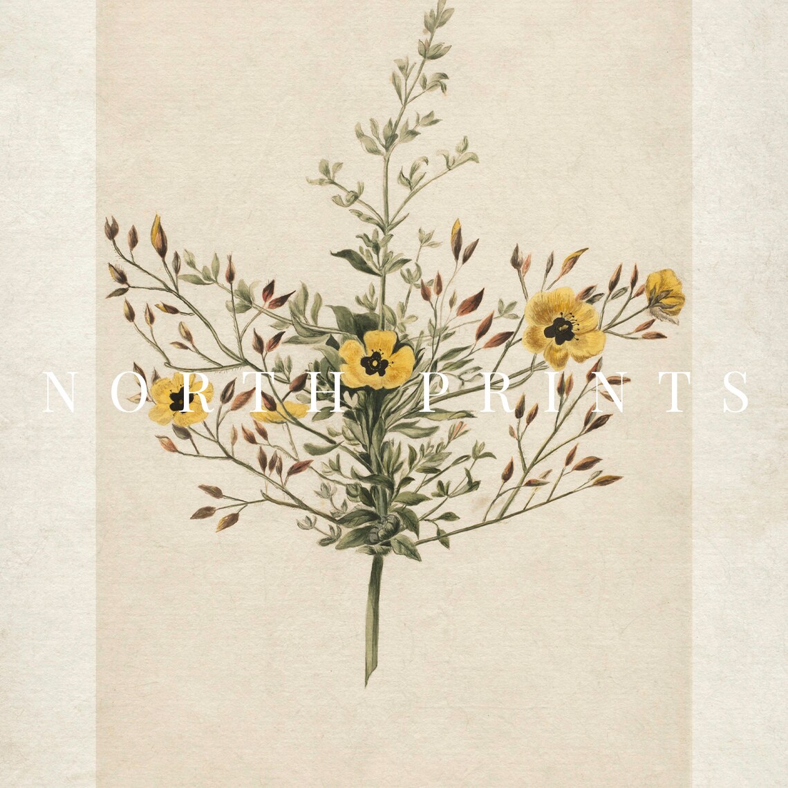 Yellow Wildflower Botanical Vintage Floral Illustration Art Poster - Image 3