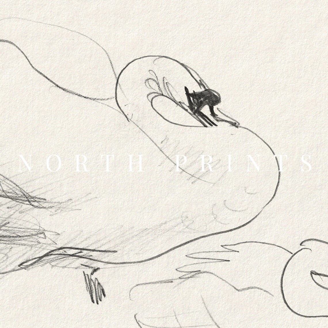 Swan Pencil Sketch Art Print, Antique Nursery Decor - Image 4