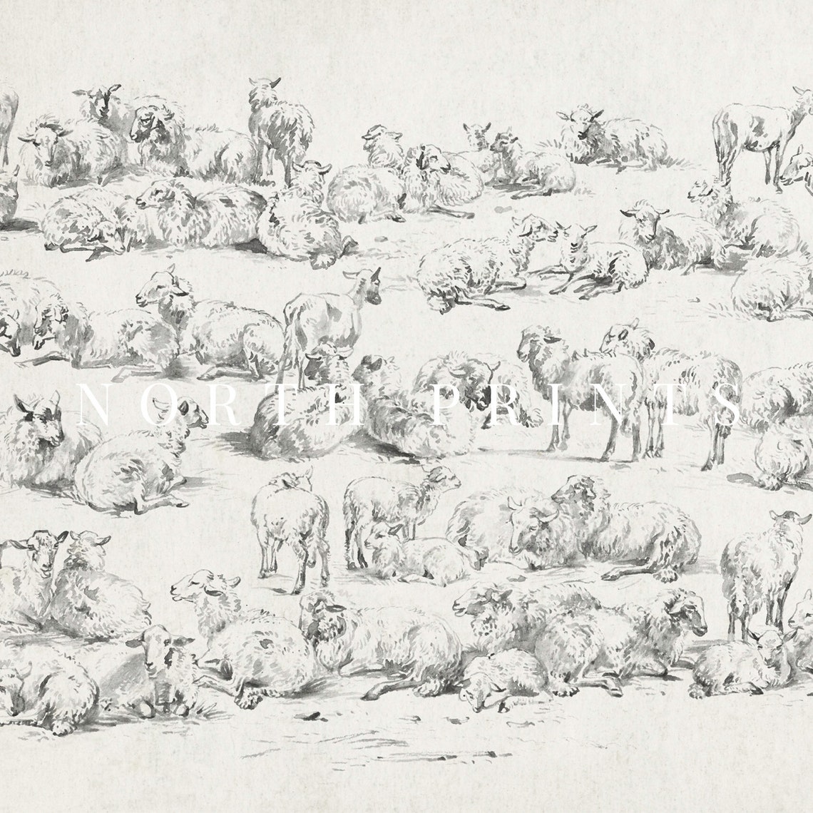 Flock of Sheep Study Drawing Antique Pencil Sketch Animals Wall Art - Image 2