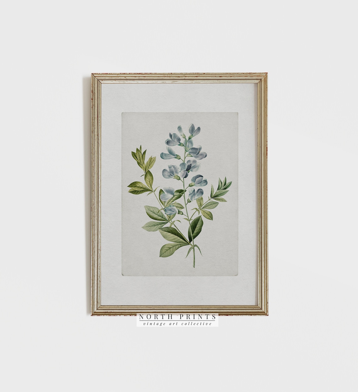 Farmhouse Botanical Blue Flower Watercolor Art Print - Image 2