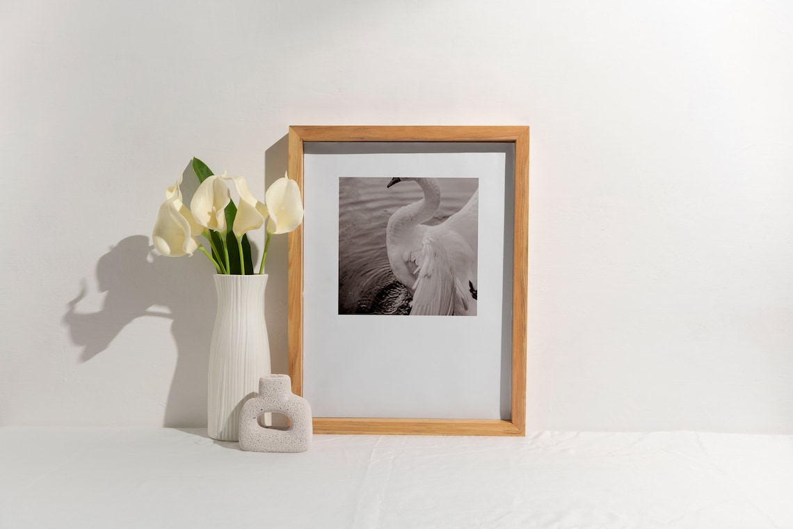 Elegant Swan Close Up Black and White Cropped Photo Art Poster