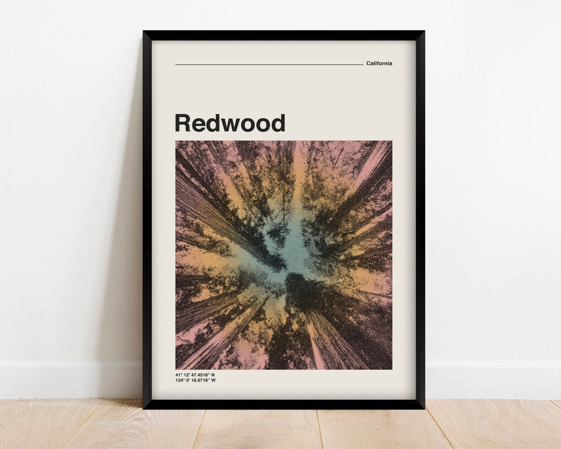 Redwood California Towering Trees Canopy Skyward Forest Poster