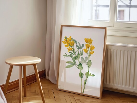 Goldenpea Yellow Wildflower Stems Vintage Botanical Watercolor Print