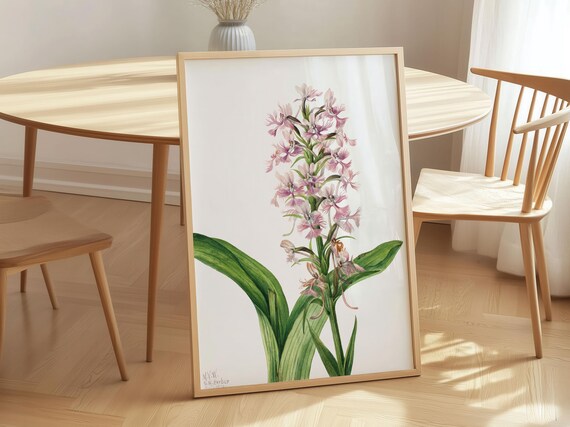 Purple Fringe Orchid Tall Blooms Vintage Botanical Flower Poster