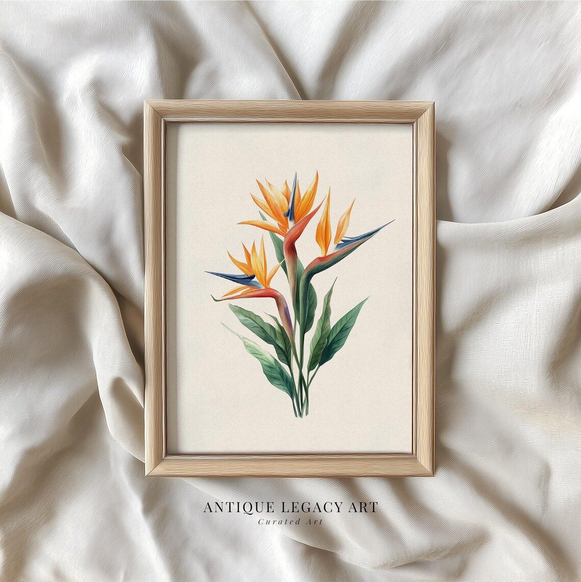 Bird Of Paradise Botanical Art Print, Tropical Flower