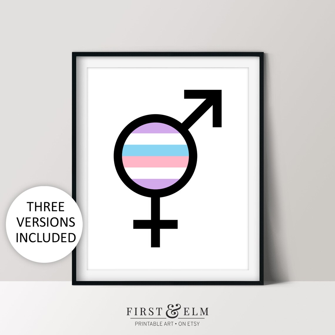 Bold Intersex Gender Symbol Pride Colors Minimalist Art Poster