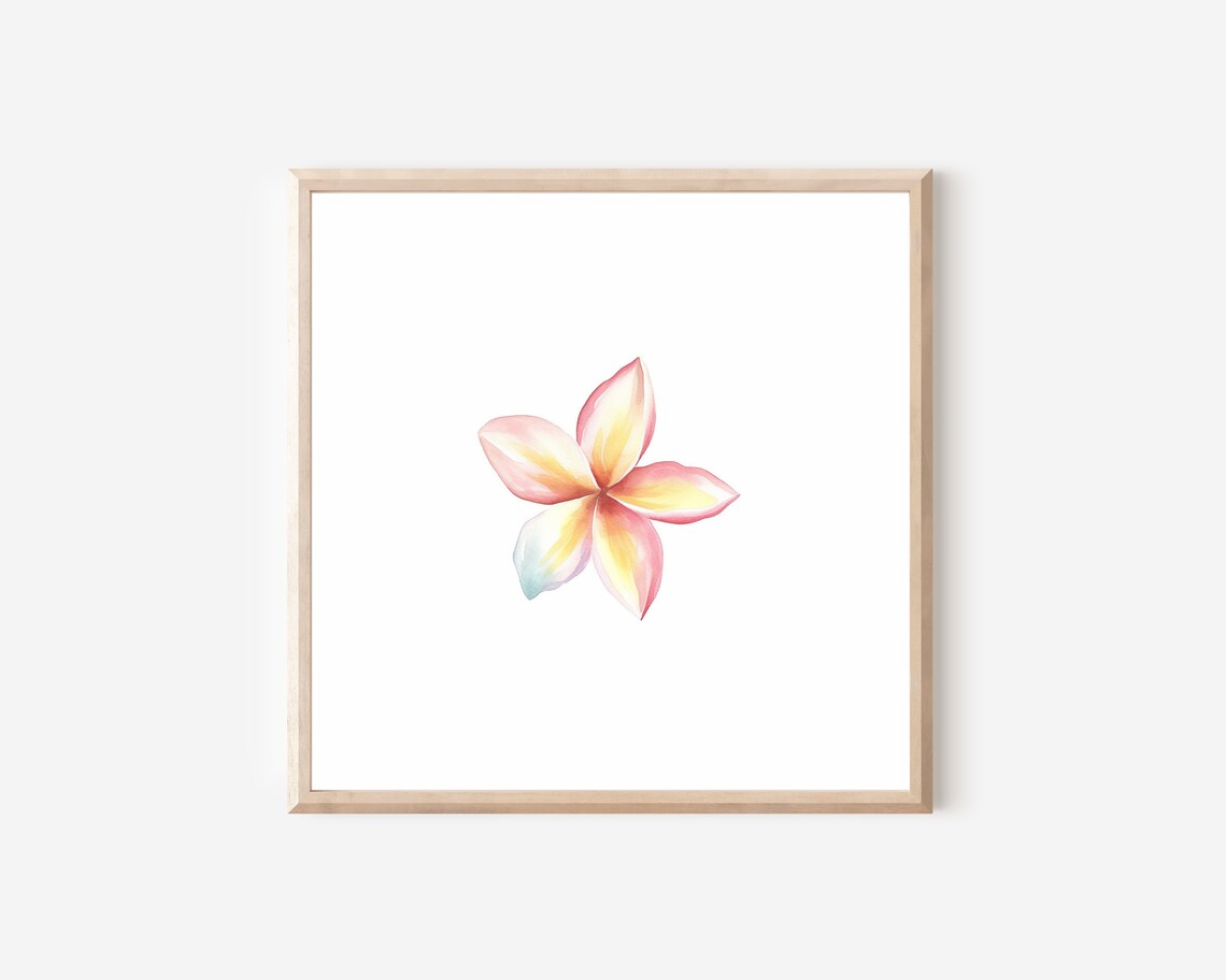 Pink and Yellow Plumeria Bloom Watercolor Tropical Wall Art Poster