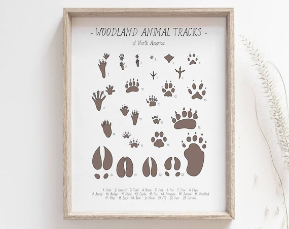 Animal Tracks Woodland Nursery Art Print