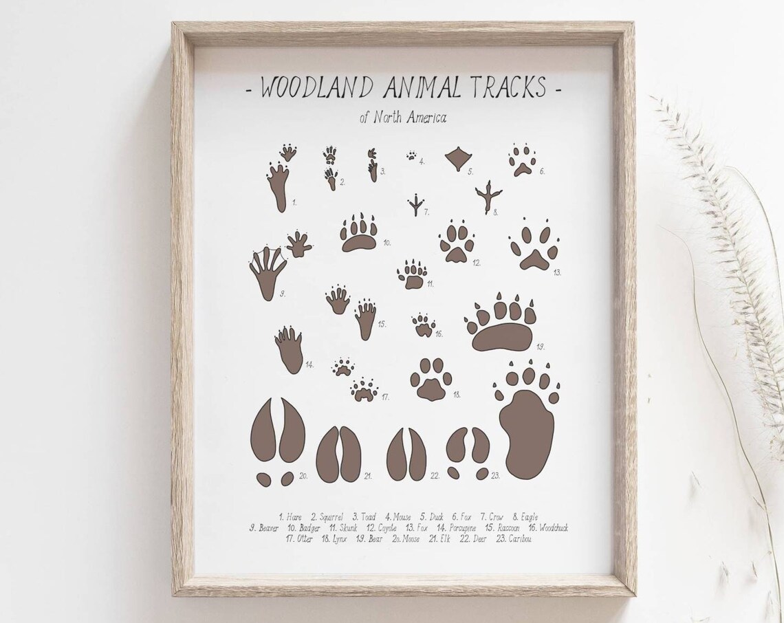 Animal Tracks Woodland Nursery Art Print