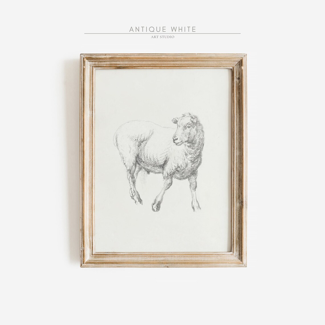 Minimalist Sheep Sketch Antique Neutral Line Drawing Animal Wall Art - Image 2