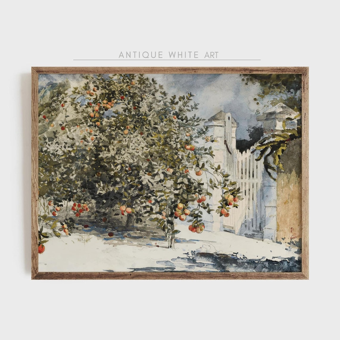 Orange Tree Watercolor Ripe Citrus by White Garden Gate Wall Art