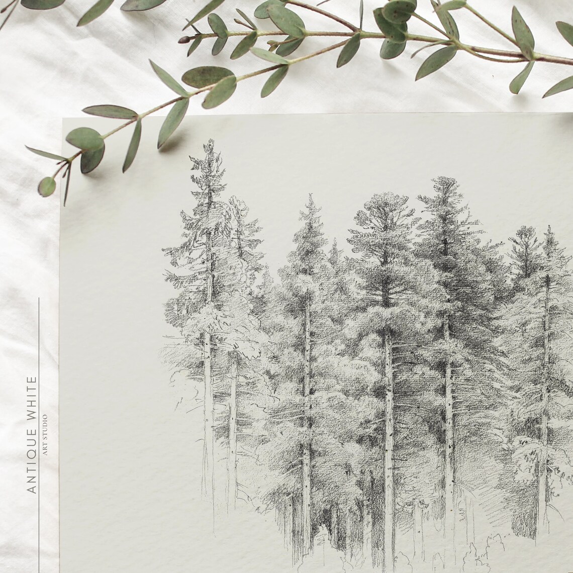 Vintage Forest Sketch, Black And White Art Print - Image 2