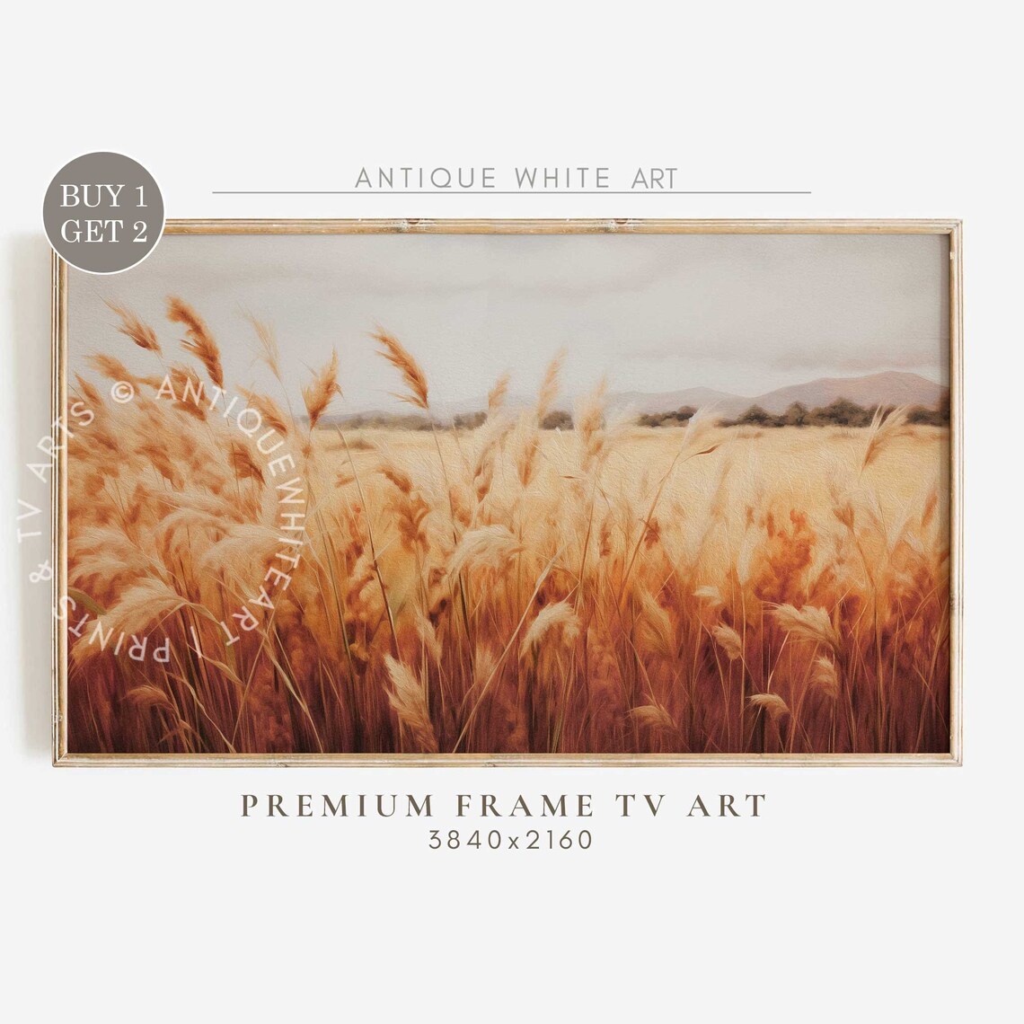 Golden Pampas Grass Autumn Field Vintage Cottagecore Wall Art Print