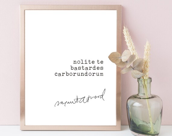 Margaret Atwood Nolite Te Bastardes Carborundorum Latin Quote Print
