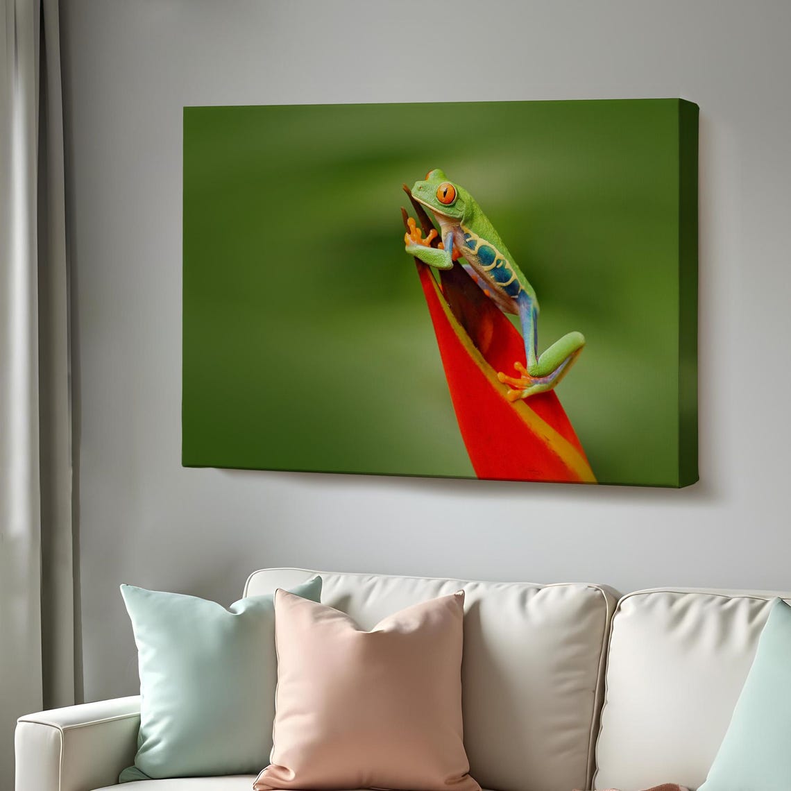 Red Eyed Tree Frog On Red Flower Macro Wildlife Photography Poster