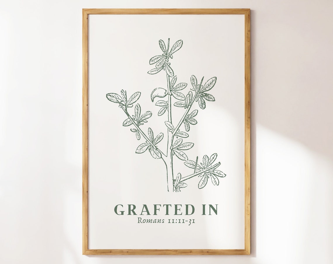 Grafted In Romans 11 Olive Branch Botanical Christian Poster