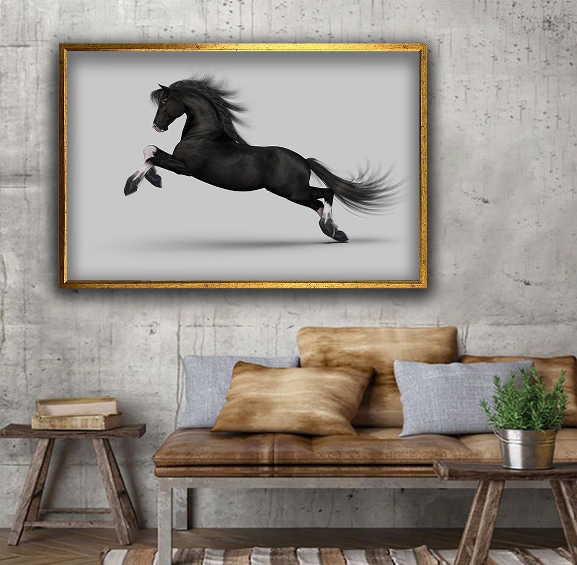 Noble Black Horse Prancing White Background Elegant Animal Wall Art - Image 3
