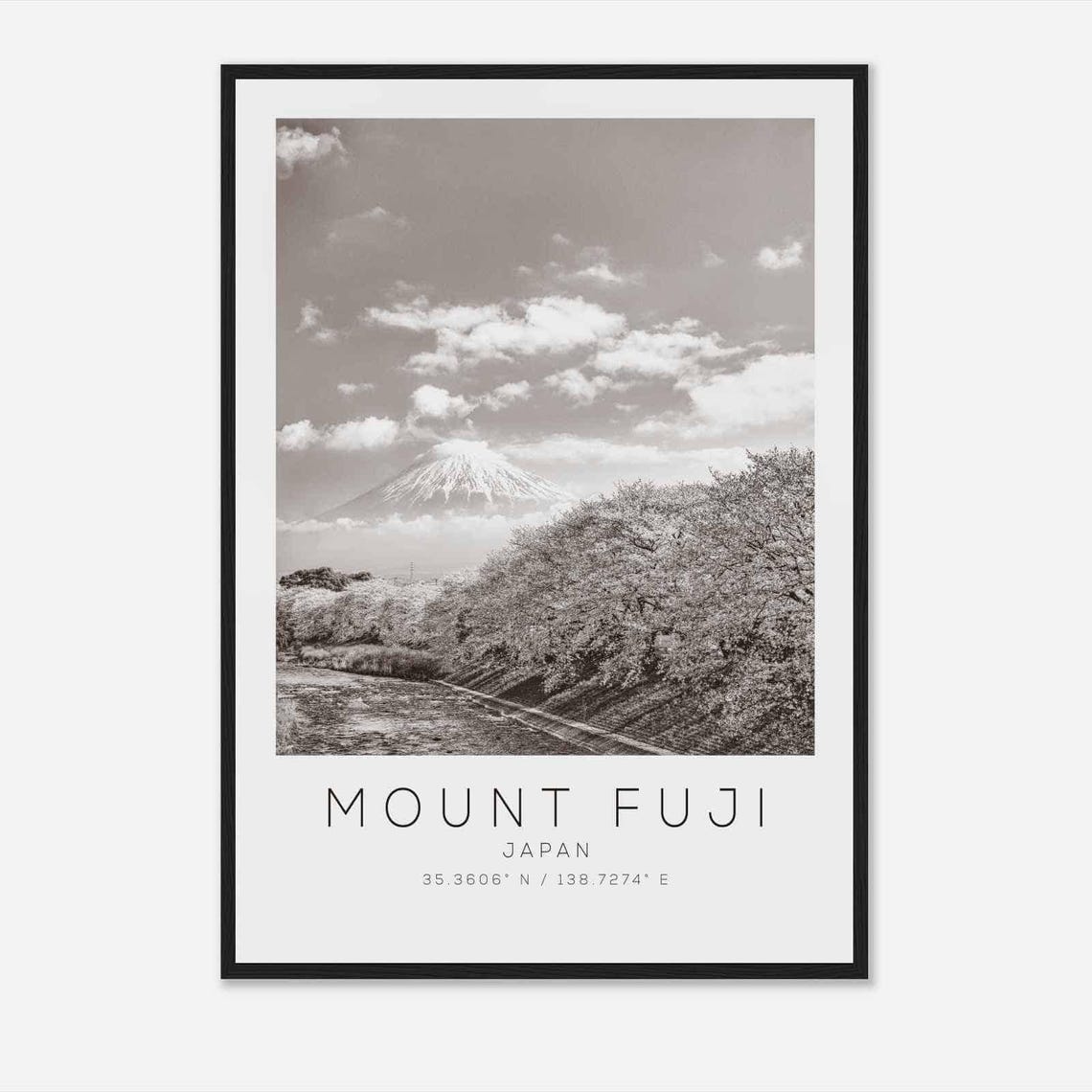 Mount Fuji Japan Cherry Blossom Season Black and White Photo Poster