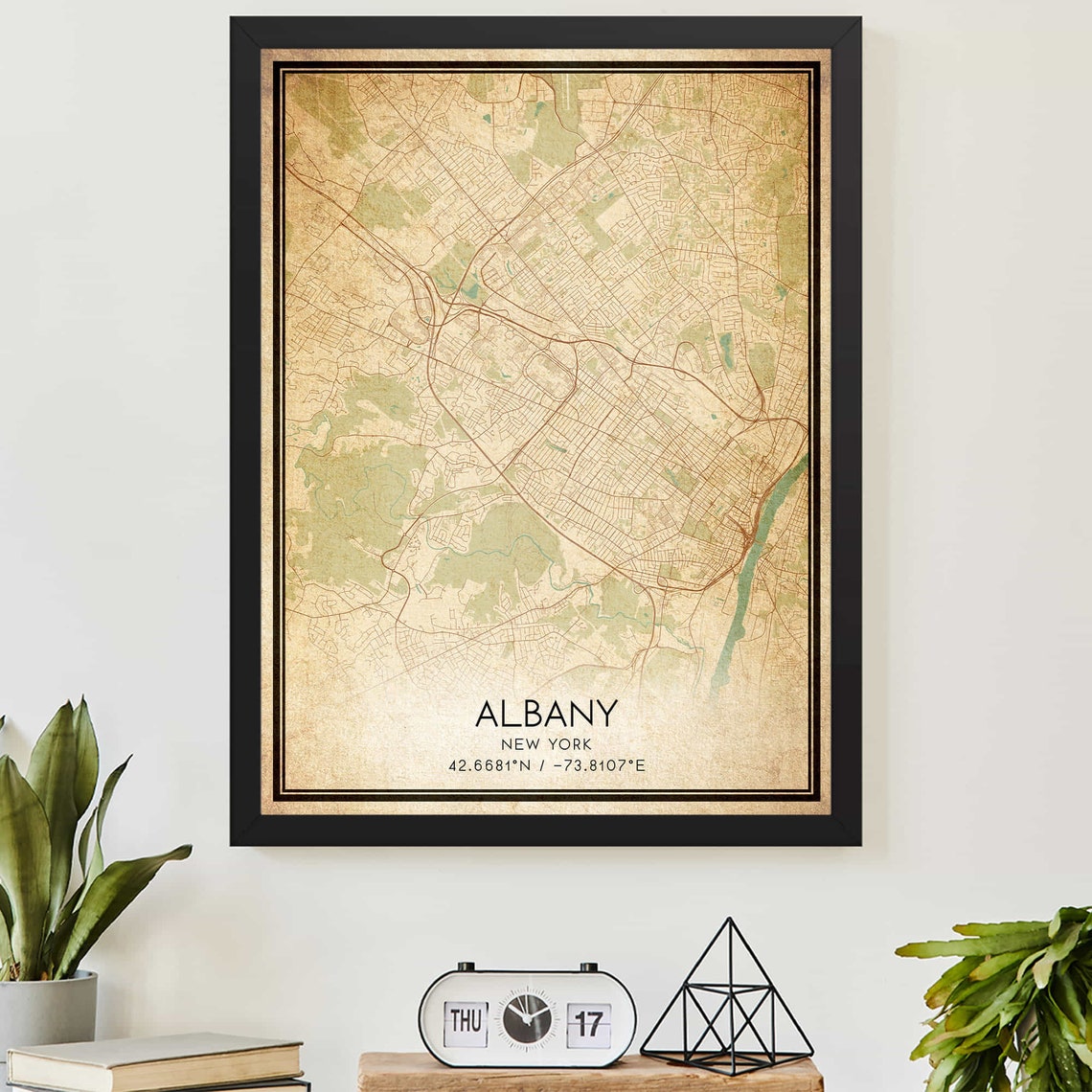Vintage Albany New York Map Poster Antique City Street Wall Decor