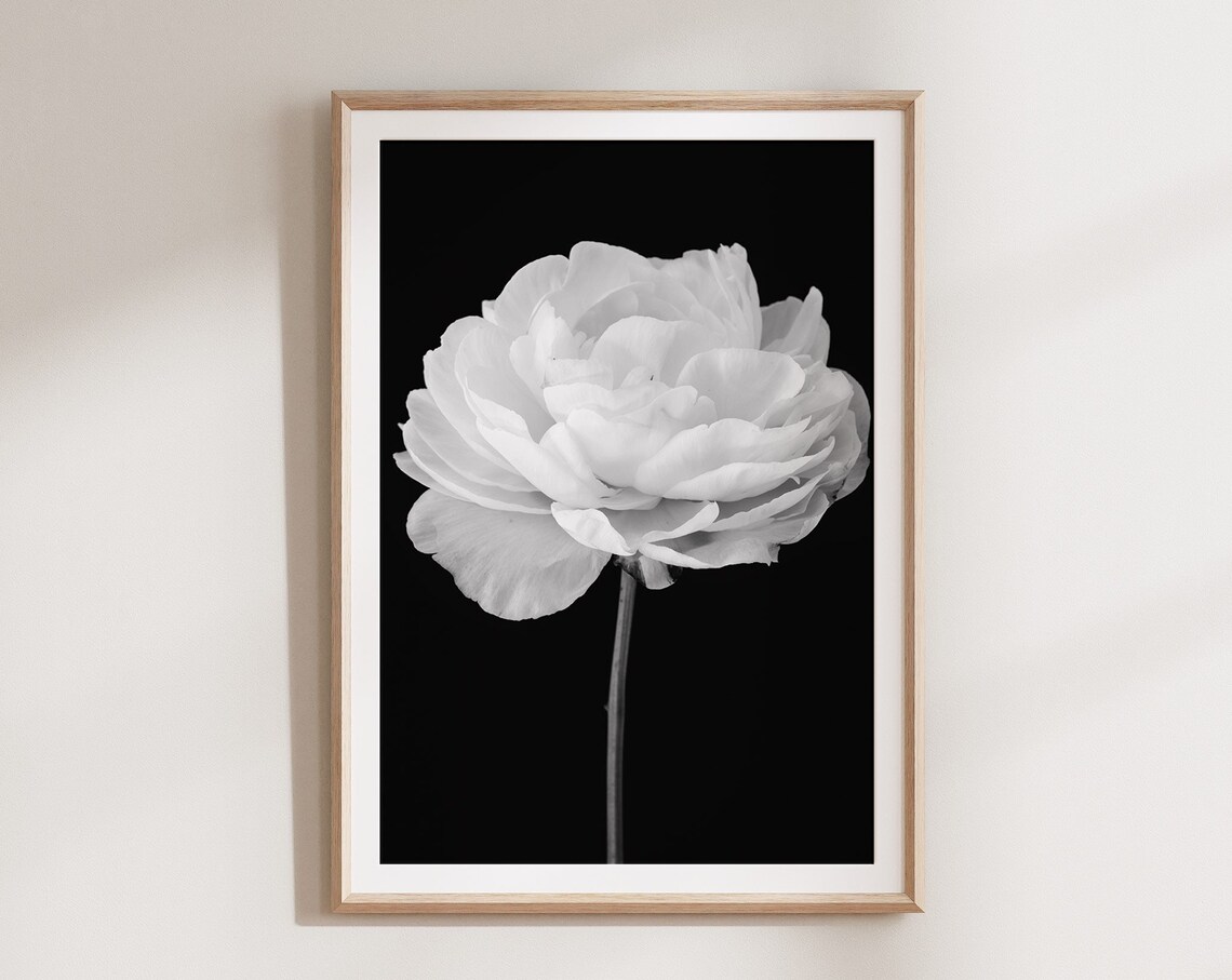 Peony Black and White Vertical Flower Art Print