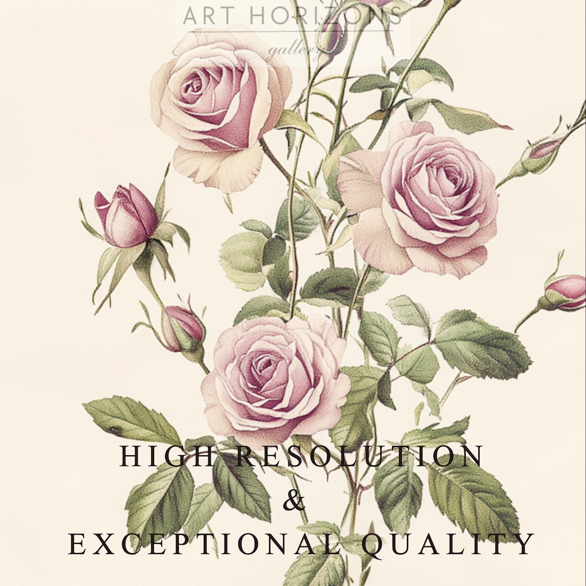 Vintage Floral Print, Antique Rose Botanical Poster - Image 2