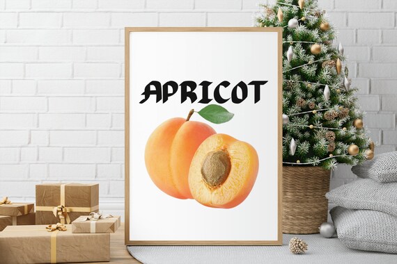 Apricot Fruit Print Kitchen Food Art Homeschool Nursery Food Artwork Prints Kids Room Decor Apricot Fruits Poster Art