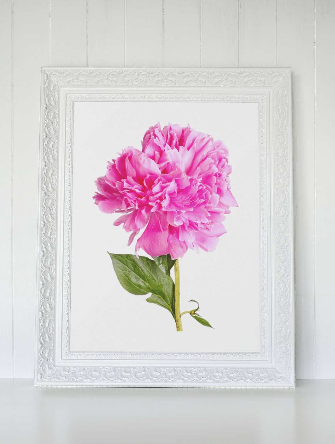 Pink Peony Flower Photography Minimalist Floral Wall Decor Poster - Image 8