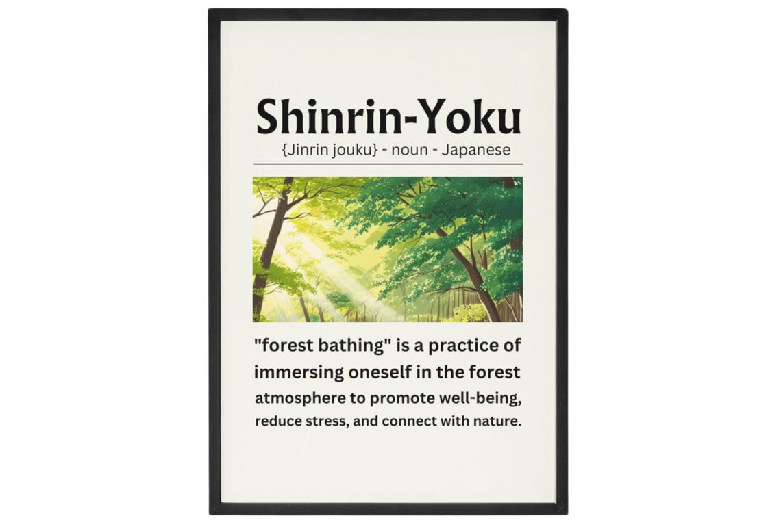 Shinrin Yoku Forest Bathing Japanese Wellness Definition Poster - Image 2