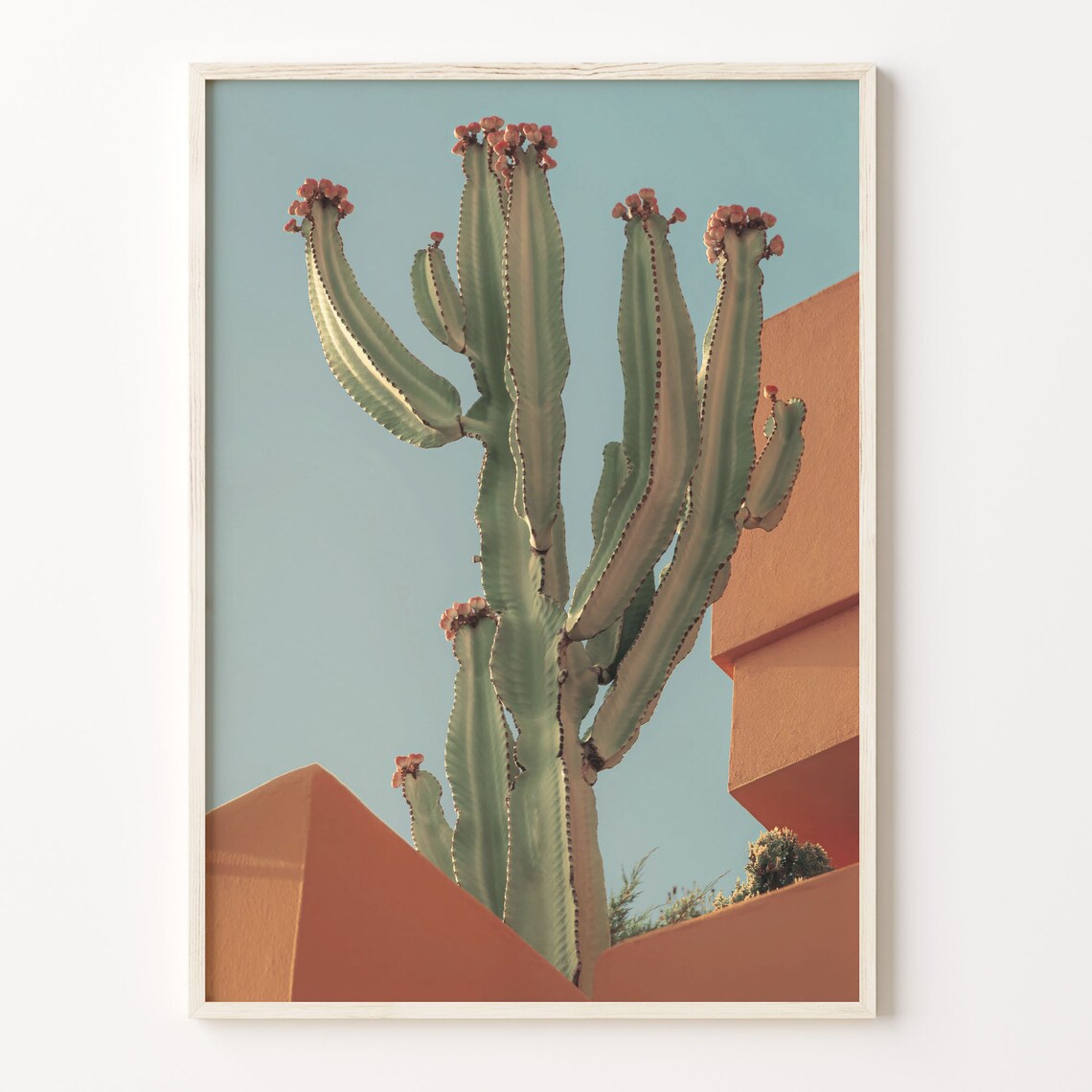 Blooming Cactus Colorful Boho Art Print