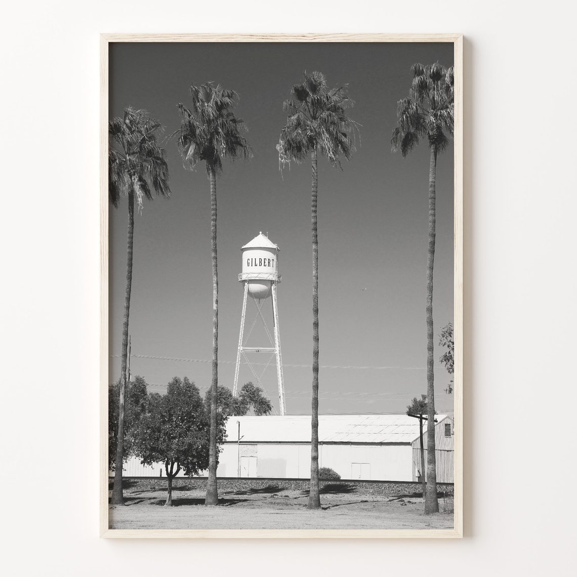 Gilbert Water Tower Black White Palm Trees Landmark Photo Poster